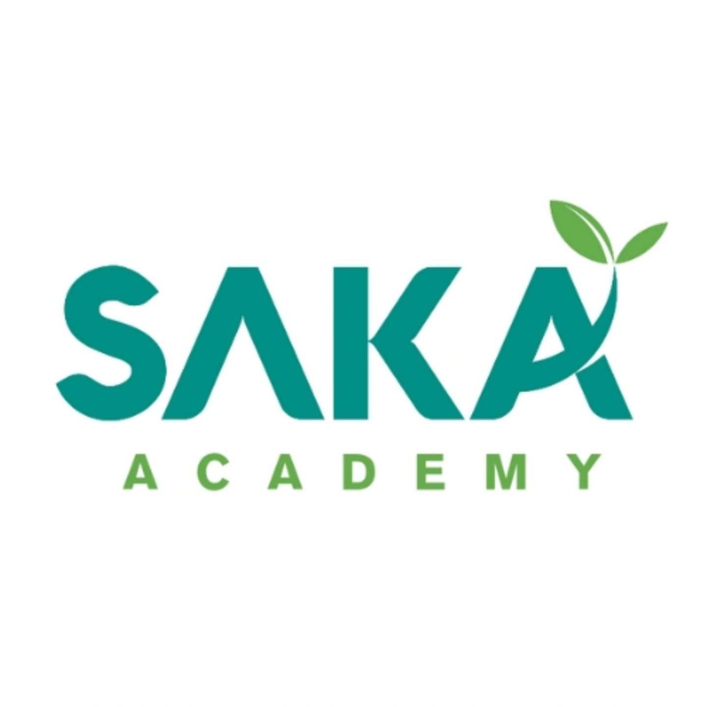 Saka Founder School